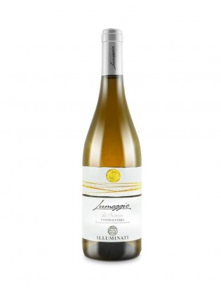 Vino Controguerra Bianco DOC 75cl Lumeggio Illuminati